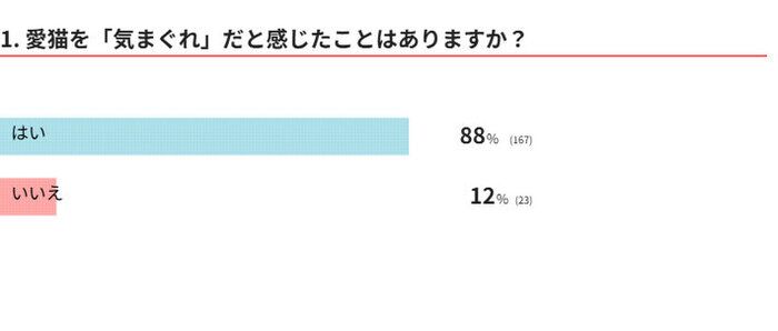 愛猫はきまぐれ？