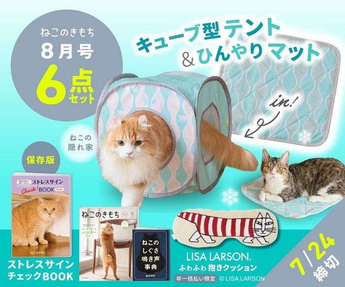 子ねこのきもち - 紀伊國屋書店ウェブストア｜オンライン書店