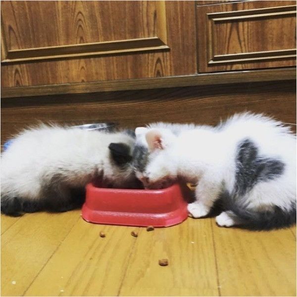 源と蒼