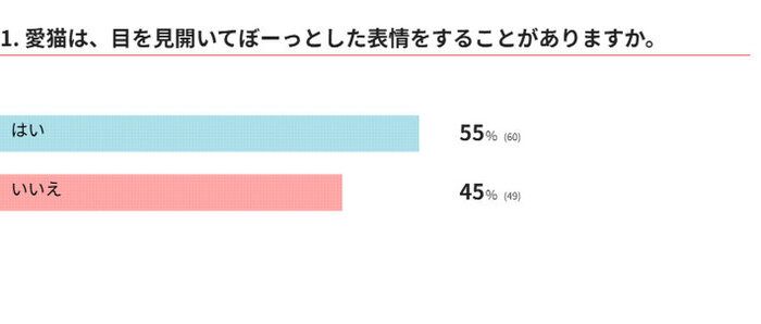  愛猫は、目を見開いてぼーっとした表情をすることがありますか？