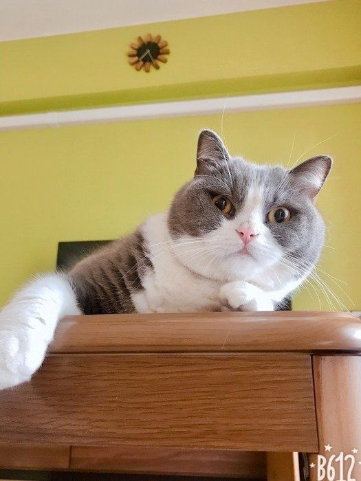 引っ越したよ。 ここがこれから僕の家♪