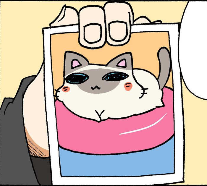 ©片倉真二/講談社