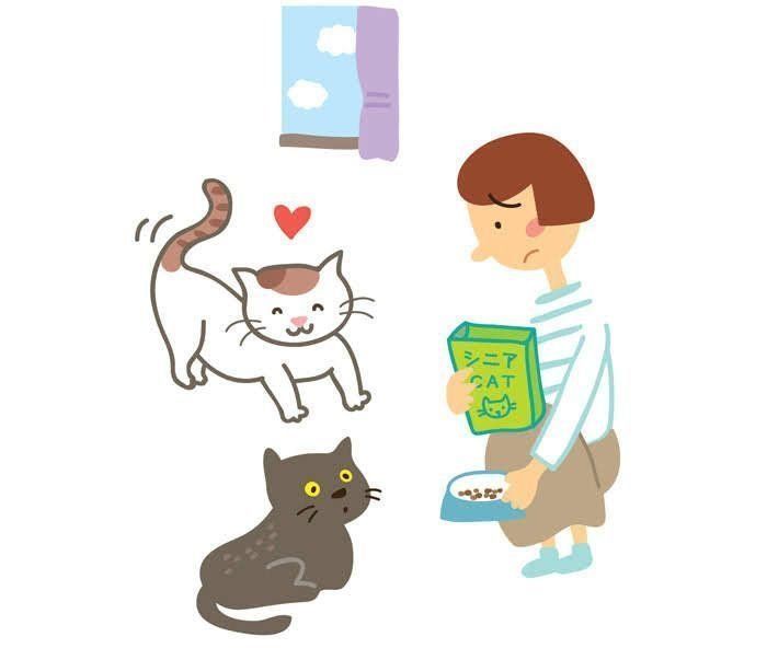 イラスト/松林今日子、西イズミ
