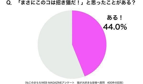 グラフ:「まさにこのコは招き猫だ!」と思ったことがある?