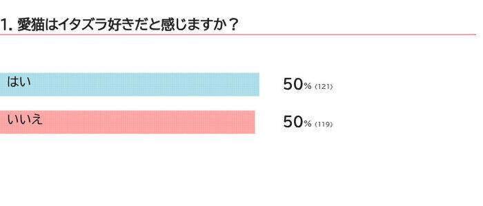 愛猫はイタズラが好きですか?