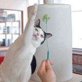 獣医師監修 うちの猫 発情期 正しく知りたい 時期や期間 オス メスの違いなど ねこのきもちweb Magazine 獣医師監修 うちの猫 発情期 正しく知りたい 時期や期間 オス メスの違いなど ねこのきもちweb Magazine