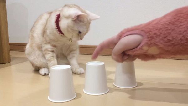 おやつどこ?