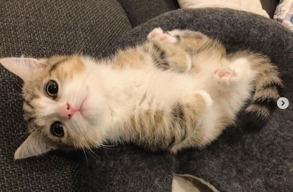 見上げるよぐちゃん