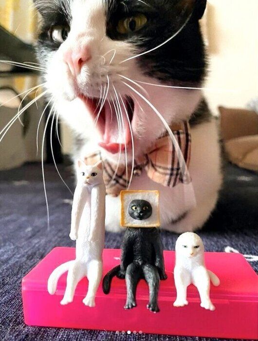 カプセルトイ「座る変な猫」