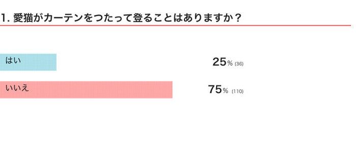 愛猫がカーテンをつたって登ることはある？