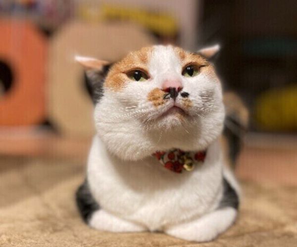 Okras7mwl63fum Okras7mwl63fum