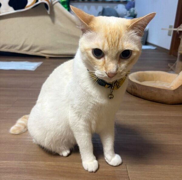 現在のロニーくん
