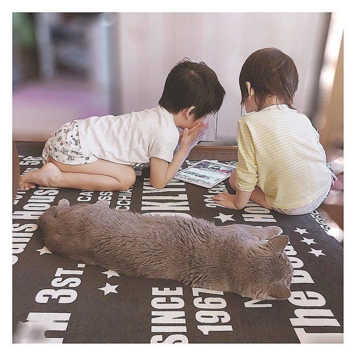 子どもと猫 後ろ姿