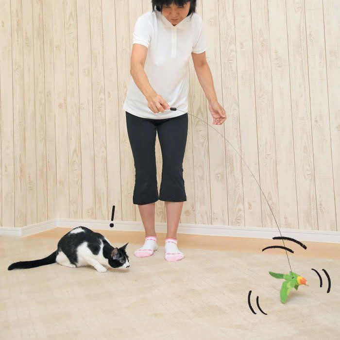 動くおもちゃと猫