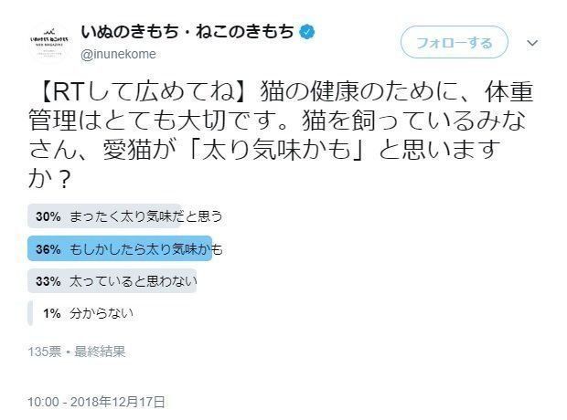 アンケート