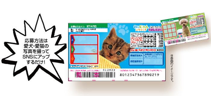 愛猫が券面に登場!? 写真投稿キャンペーンに応募しよう!