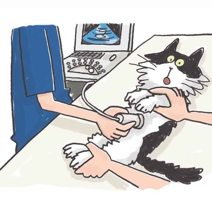 イラスト/上垣厚子