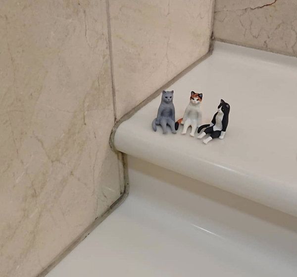 座る猫