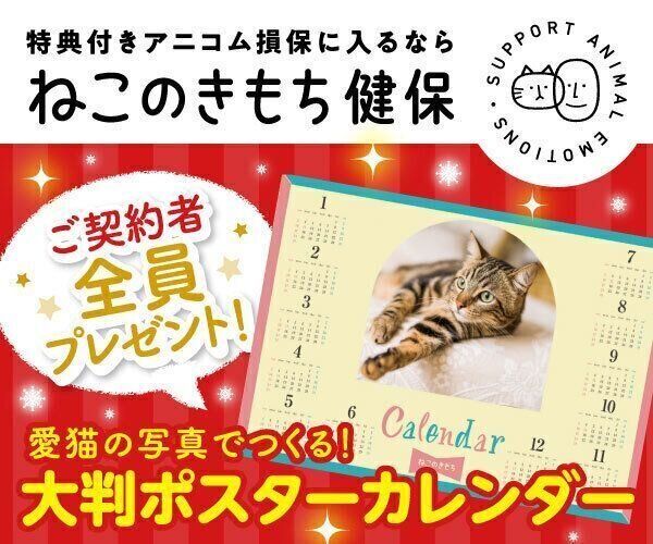 ねこのきもちweb Magazine それでもやっぱり猫が好き ねこのきもちweb Magazine それでもやっぱり猫が好き