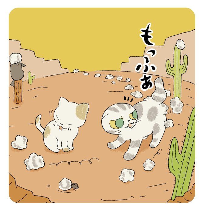 @tacos_cat