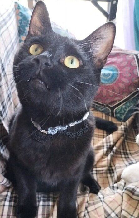 まもなく3才をむかえるコルメくん