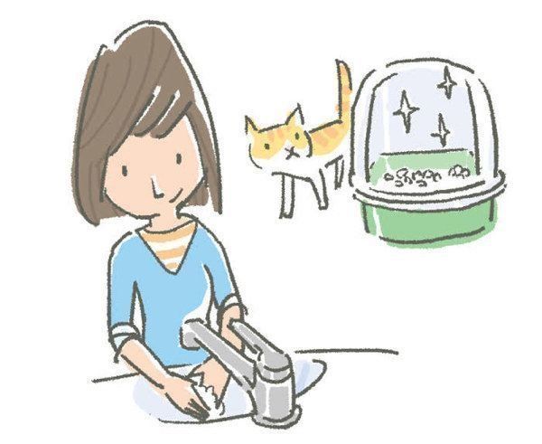 猫から直接うつりやすい病気