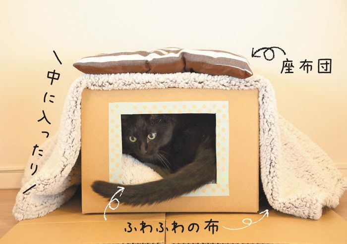 段ボールハウスに入る猫