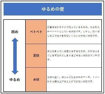 ウンチの硬さ