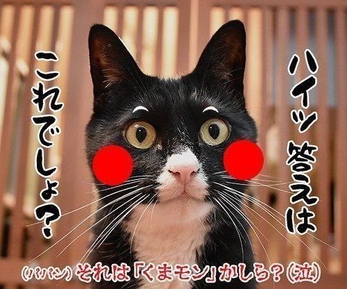 だいずさん、そのキャラはもしや……!