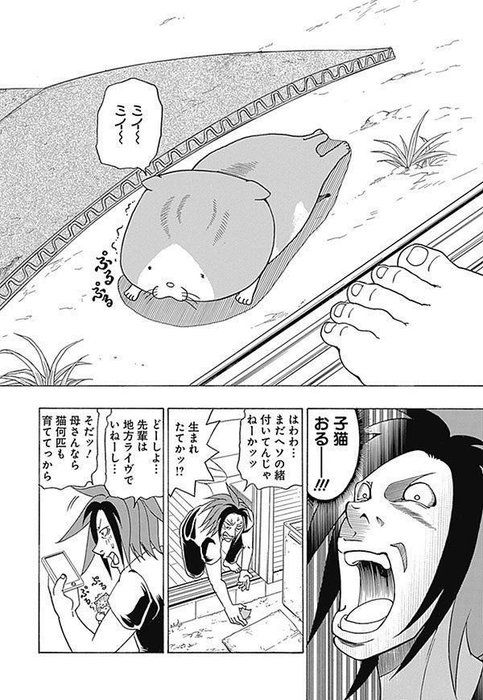『れんコテ』