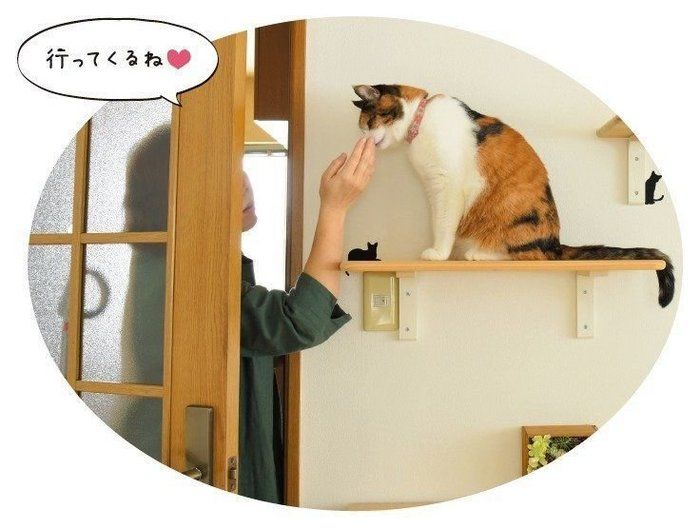 撮影/尾﨑たまき