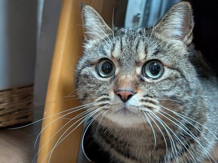 現在のCielちゃん