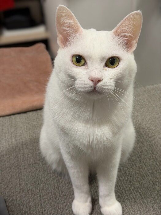 カメラ目線で見つめるぐうちゃん