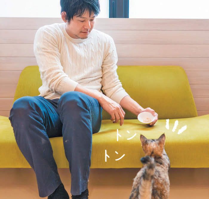 ソファーをトントンする人と猫