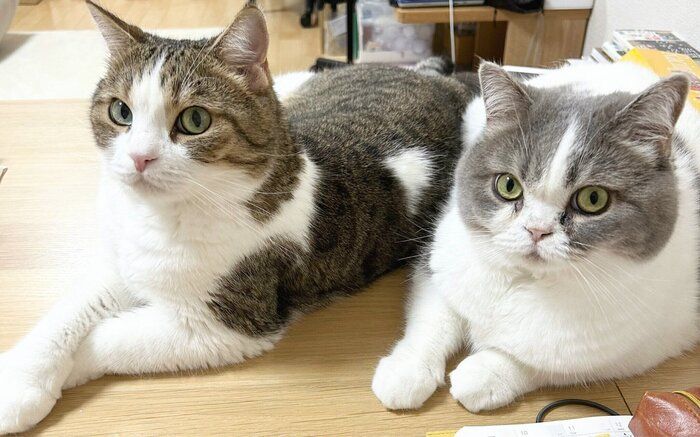 立派に成長した様子にうれしくなる1枚 カメラ目線も決まってる!