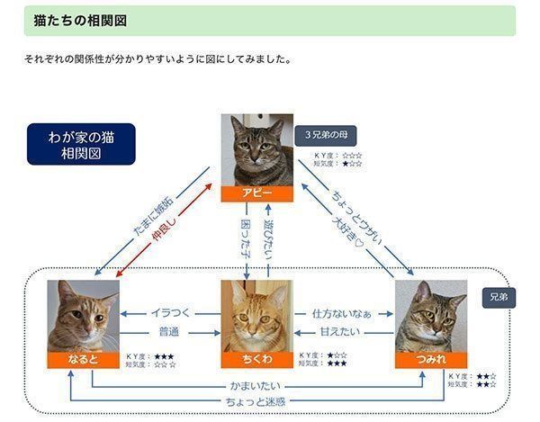 @edamomo22さんの愛猫たちの相関図