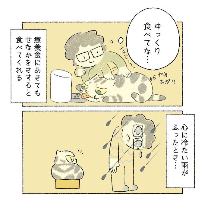 @tacos_cat