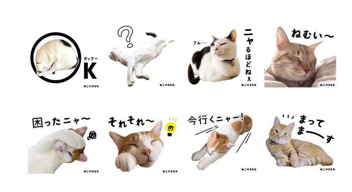 いぬ・ねこのきもちアプリ なでなでスタンプ企画