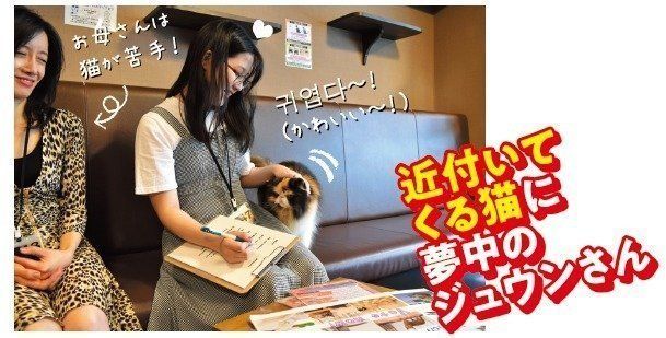 画像/ねこのきもち2018年11月号