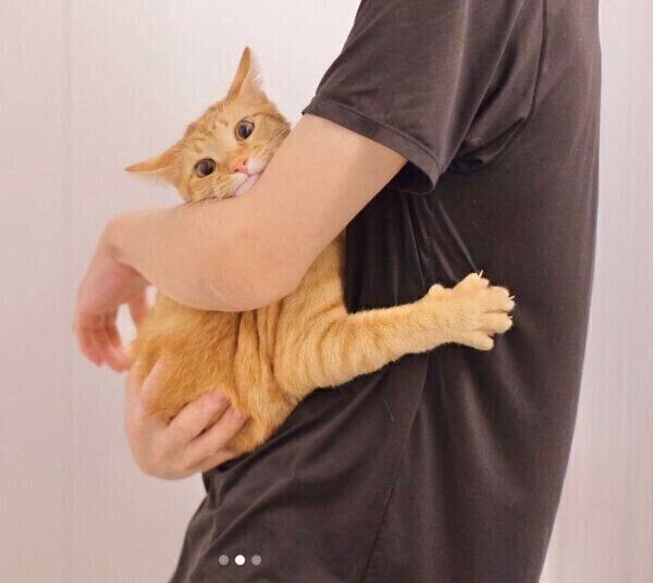 必死にパパさんにしがみつくみゃおちゃん