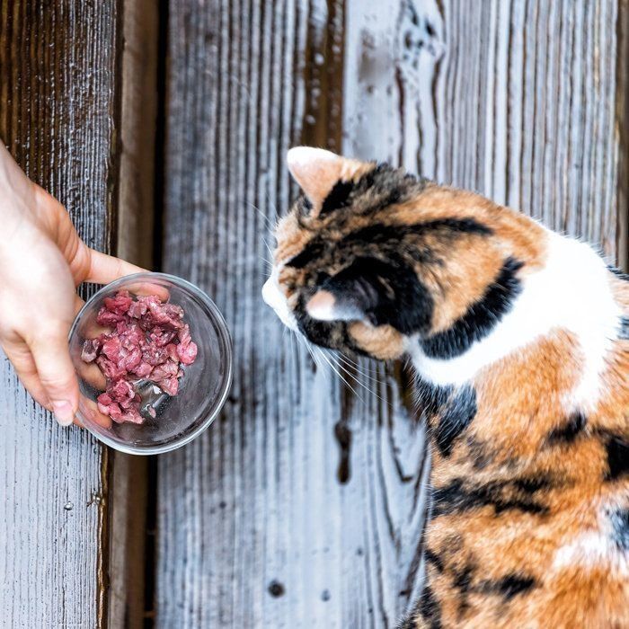 画像/iStock、Getty Images Plus、ゲッティイメージズ