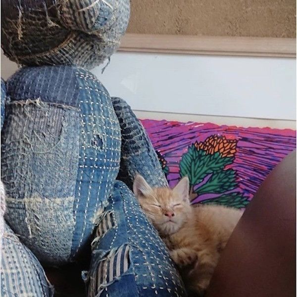 もんとあお