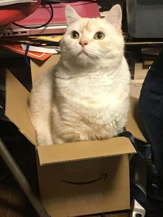 読者提供