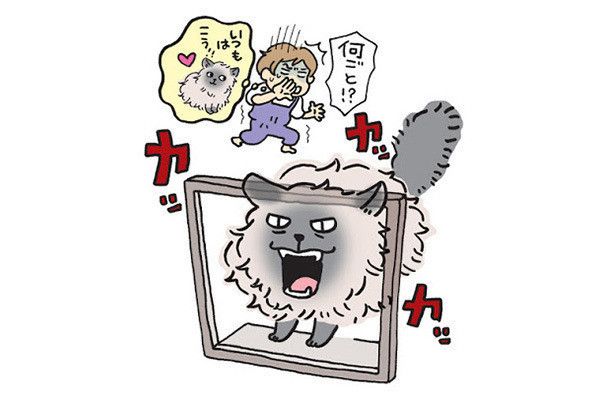 鳴く猫