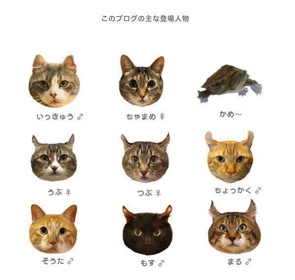 ブログ『続・いっくんのそれゆけ一球入魂』のスクリーンショット