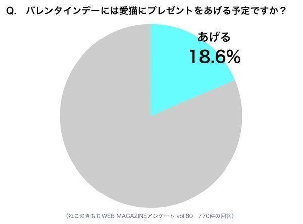 調査:バレンタインデーには愛猫にプレゼントをあげる予定か