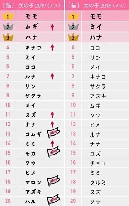 猫の名前ランキング2019(メス)