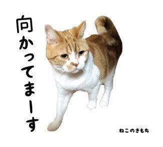 大河ちゃんのスタンプ