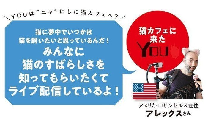 画像/ねこのきもち2018年11月号