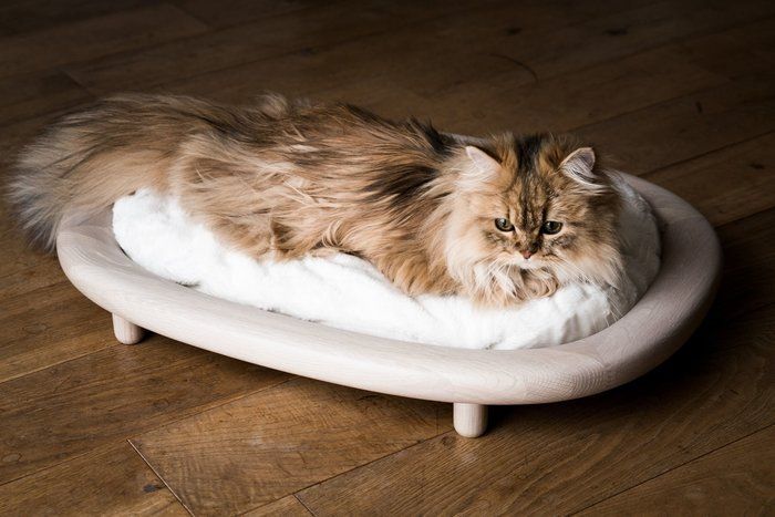 カリモクの猫ベッド
